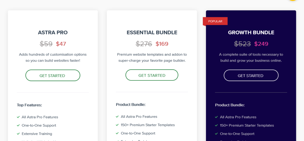 Pricing Plans -Astra pro wordpress theme