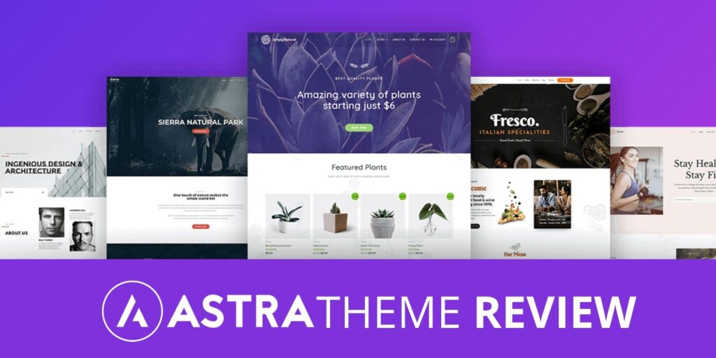 astra theme review